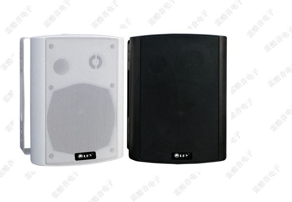 IP网络主音箱 L-6003